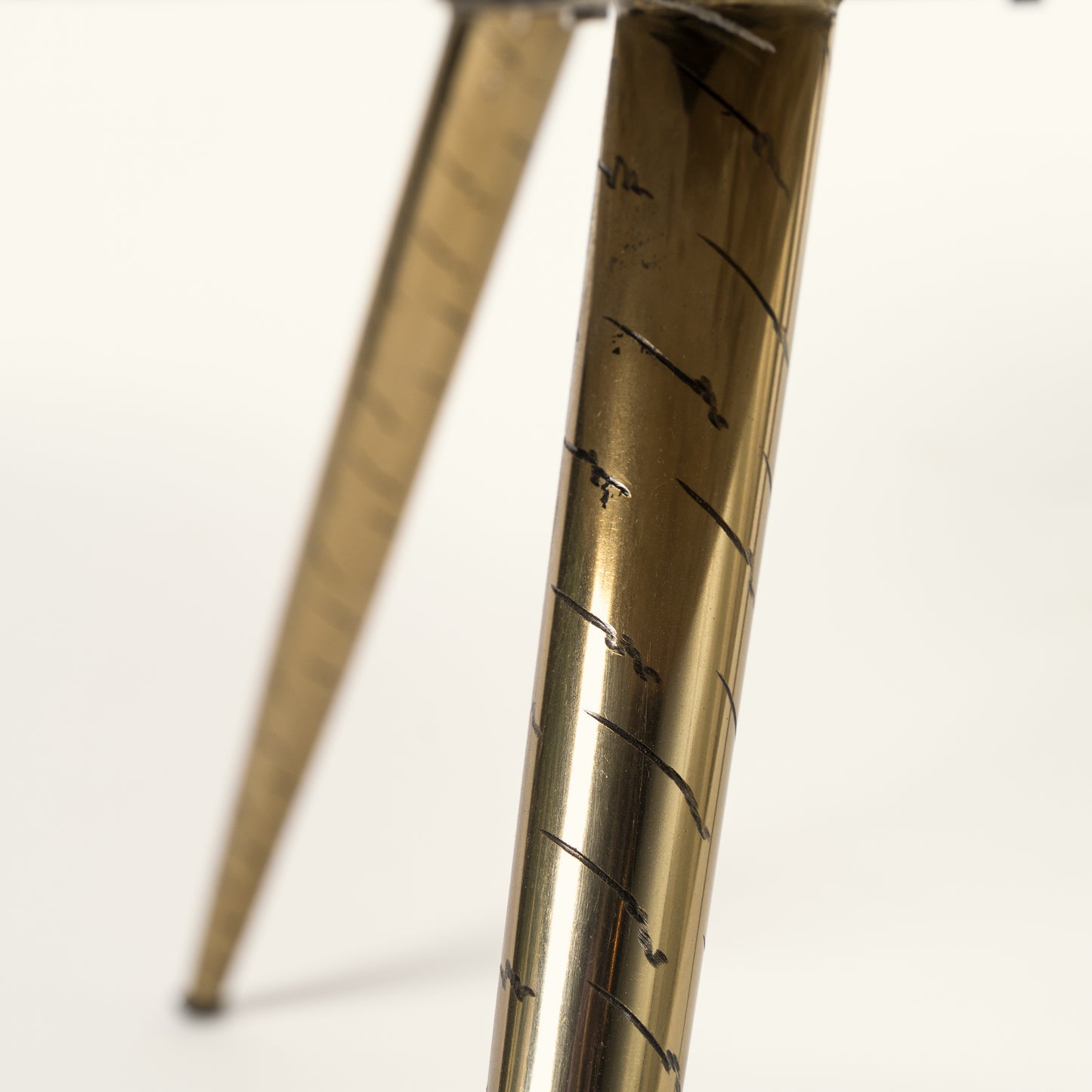 Petrified wood coffee table