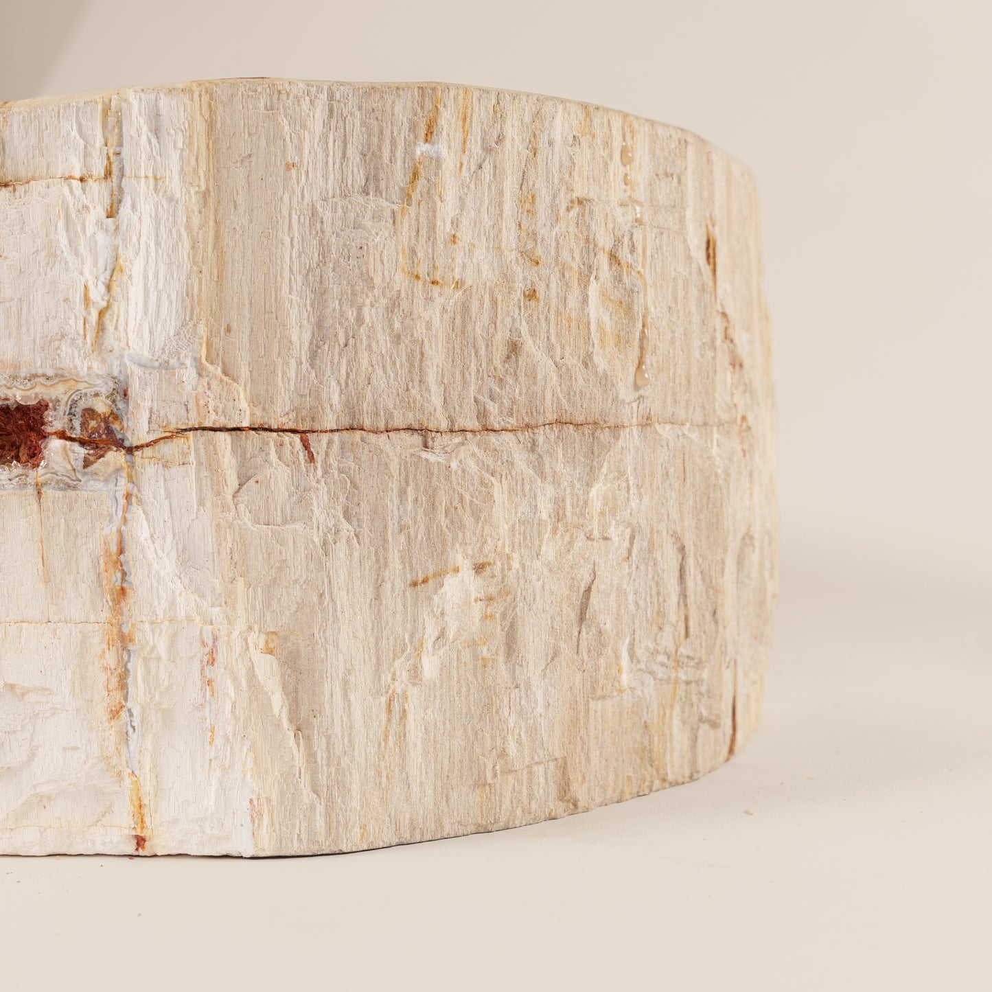 Praustuvas iš fosilijos "Bumi"