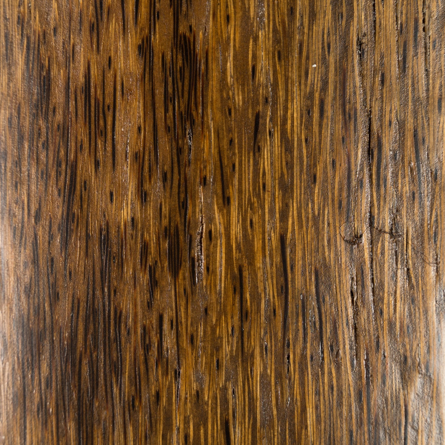 Palmės vaza "Nature" XL