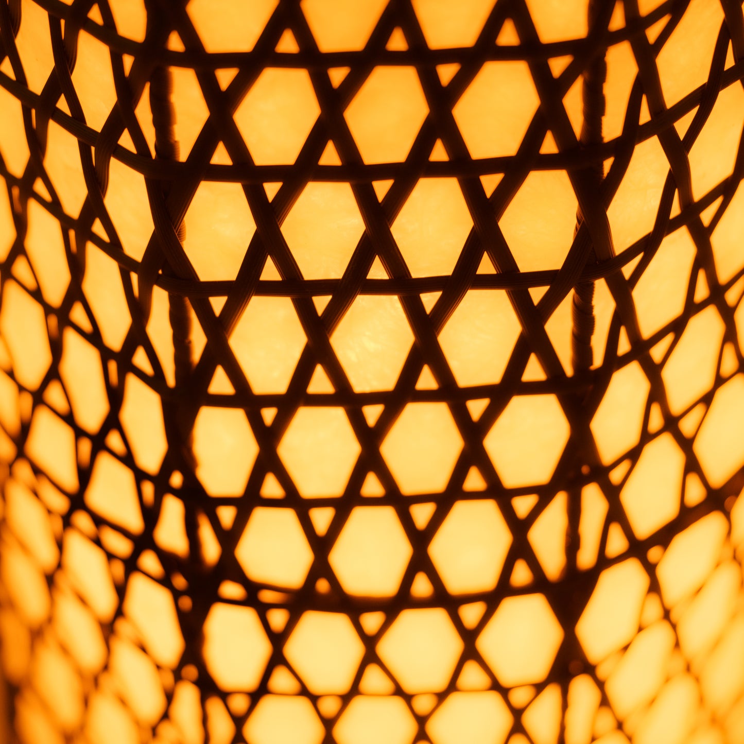 Pastatomo šviestuvo gaubtas "Oasis"