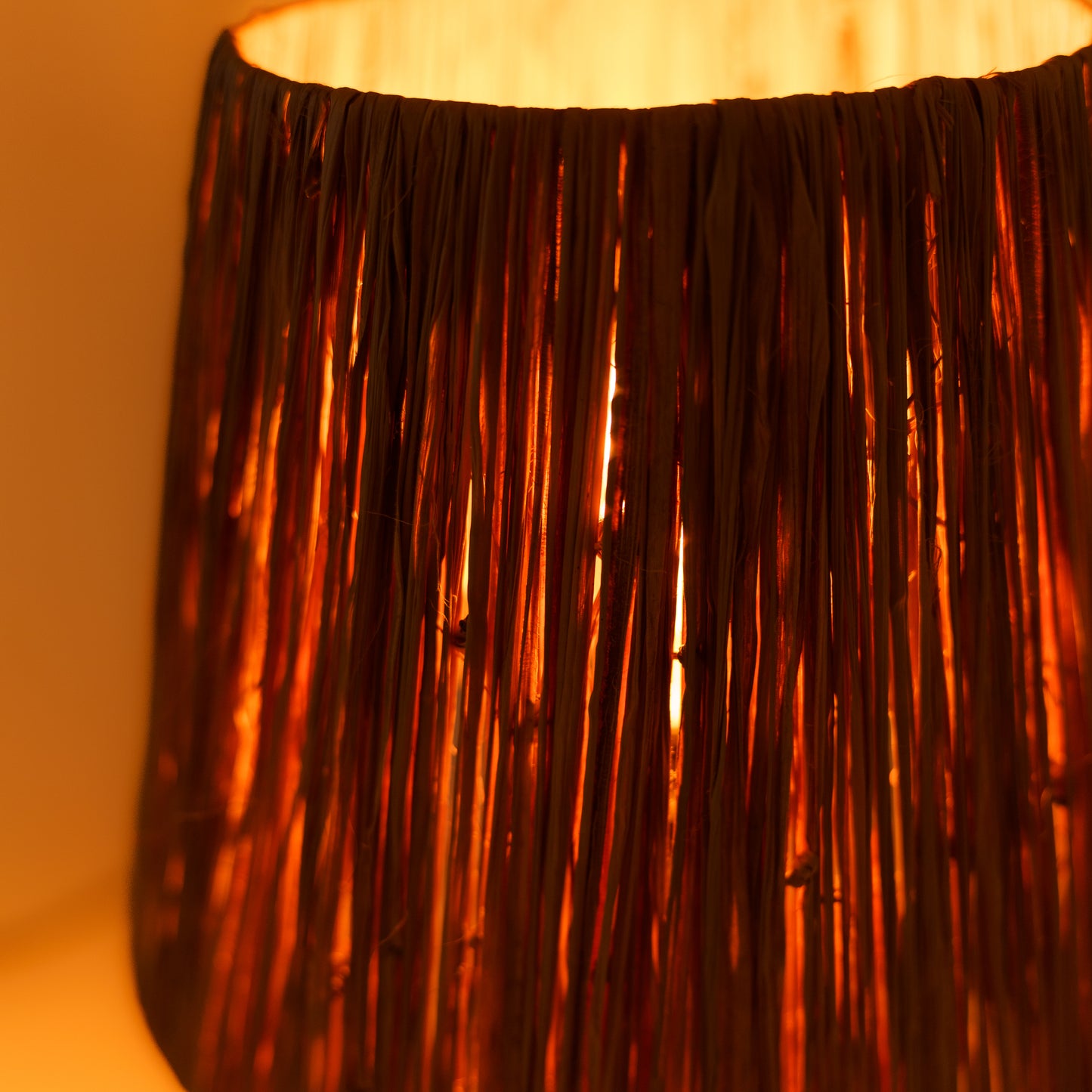 Šviestuvas “Enchanted”