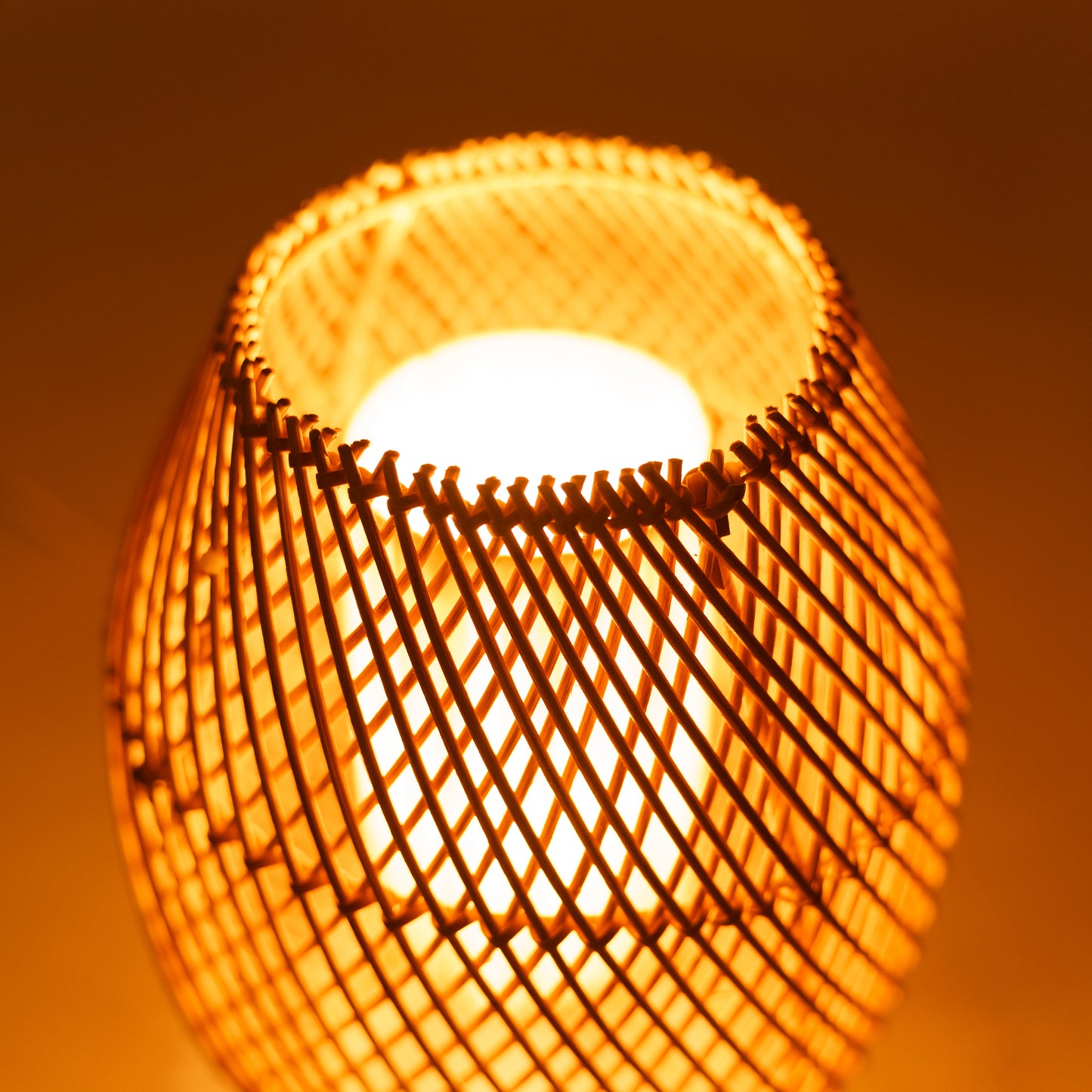 Pastatomo šviestuvo gaubtas "Apollo"