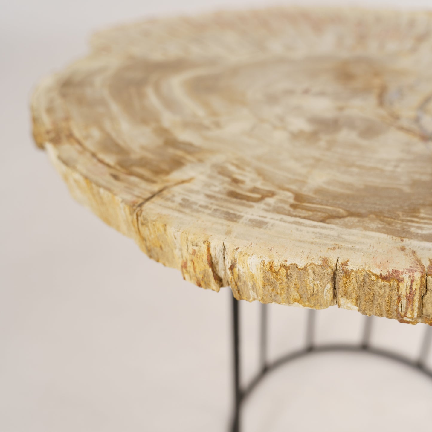 Coffee table "Dragon"