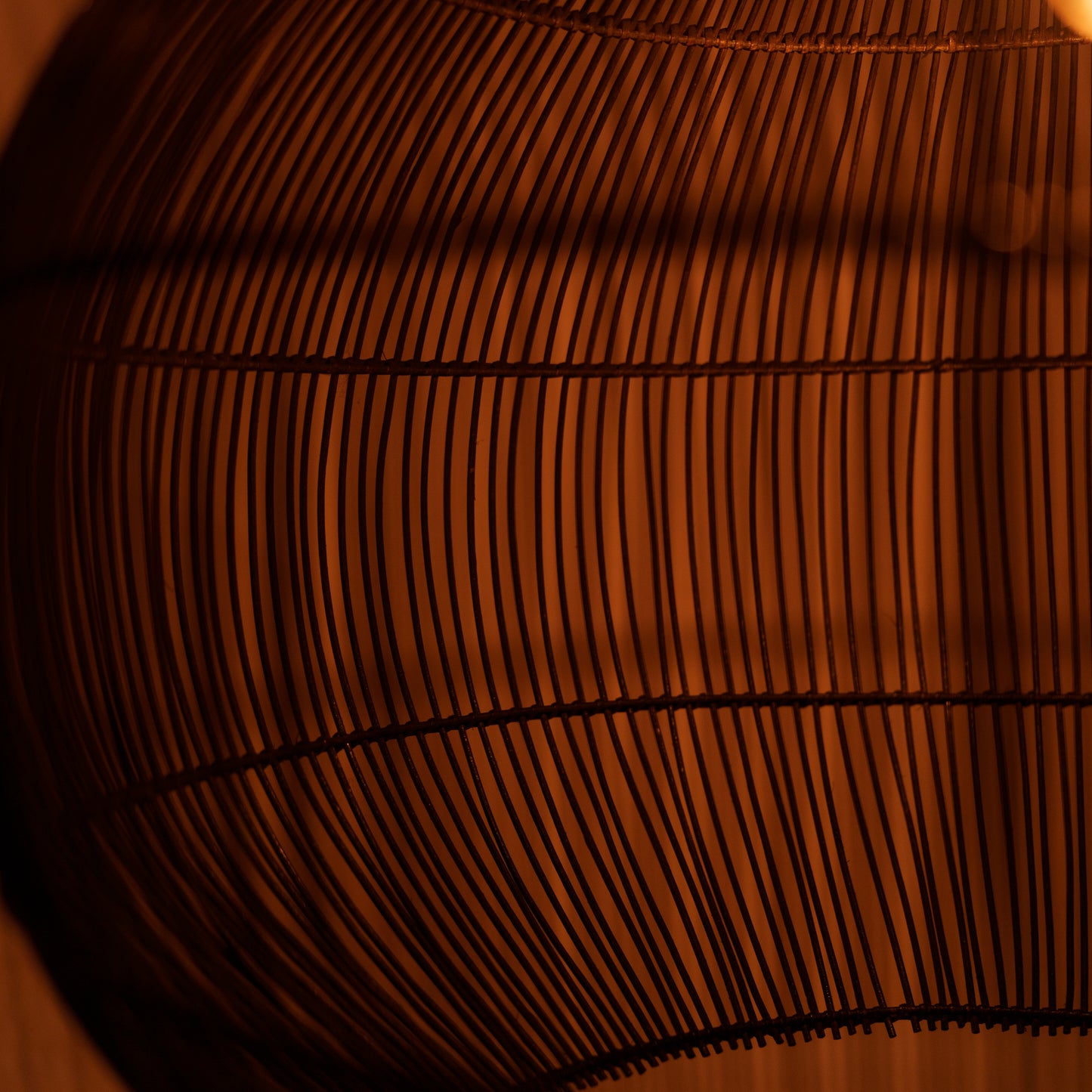 Šviestuvo gaubtas “Rambut”