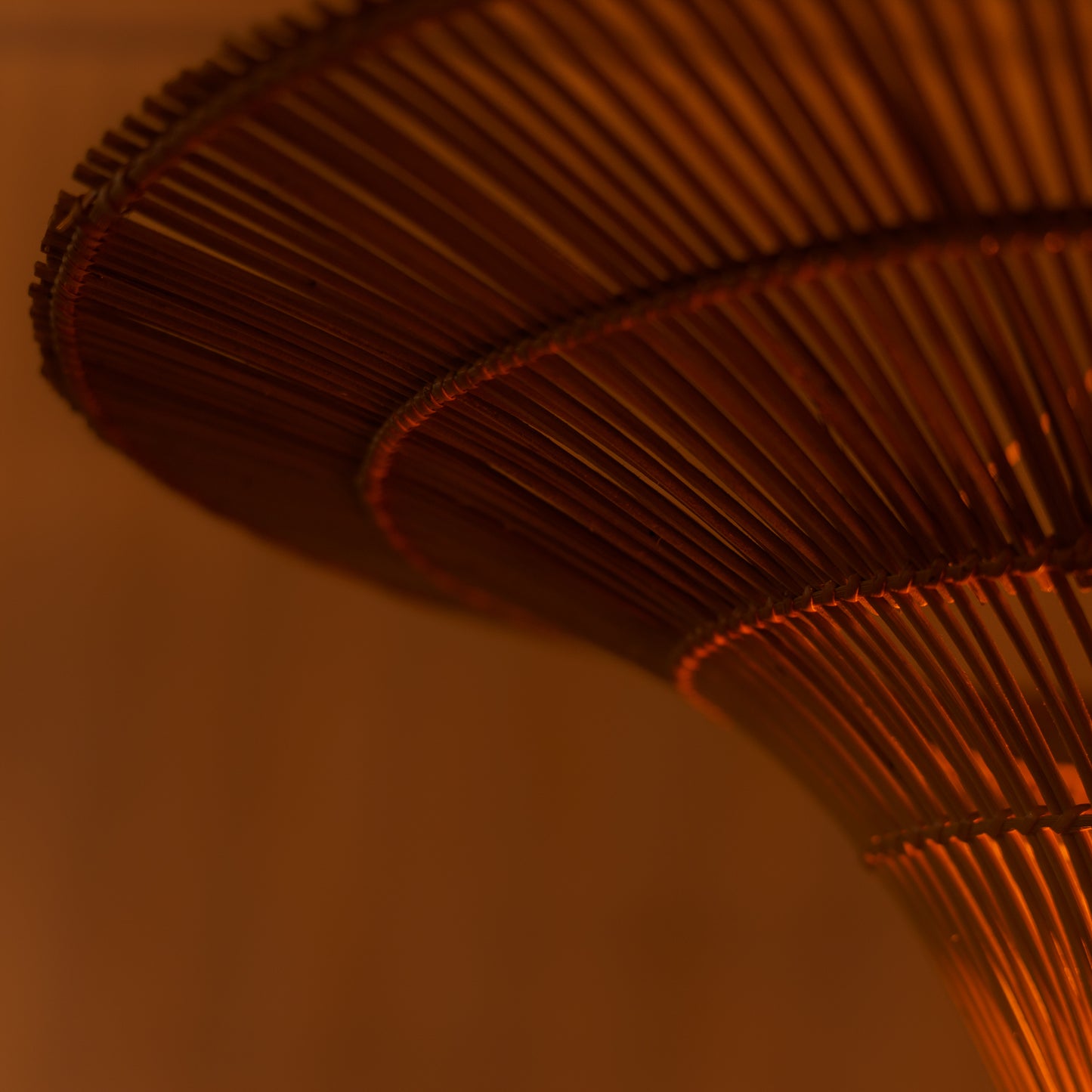 Šviestuvo gaubtas “Raslila”