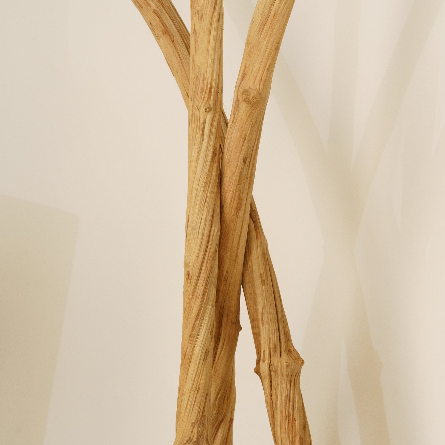 Wild grape decoration