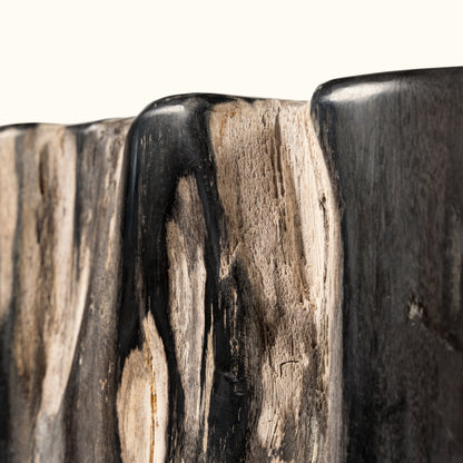 Fossilized wood log table "Marble look"