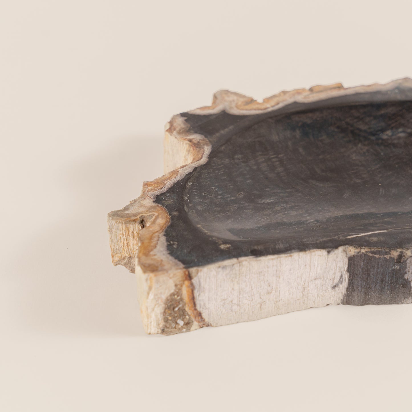 Interjero detalė / muilinė