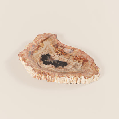 Interjero detalė / muilinė