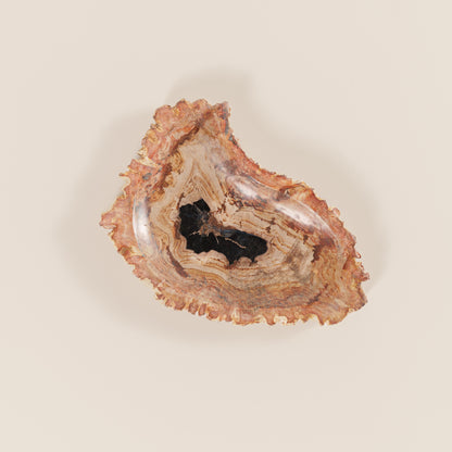 Interjero detalė / muilinė