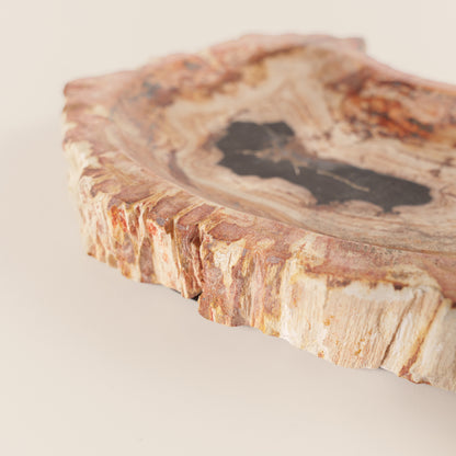 Interjero detalė / muilinė