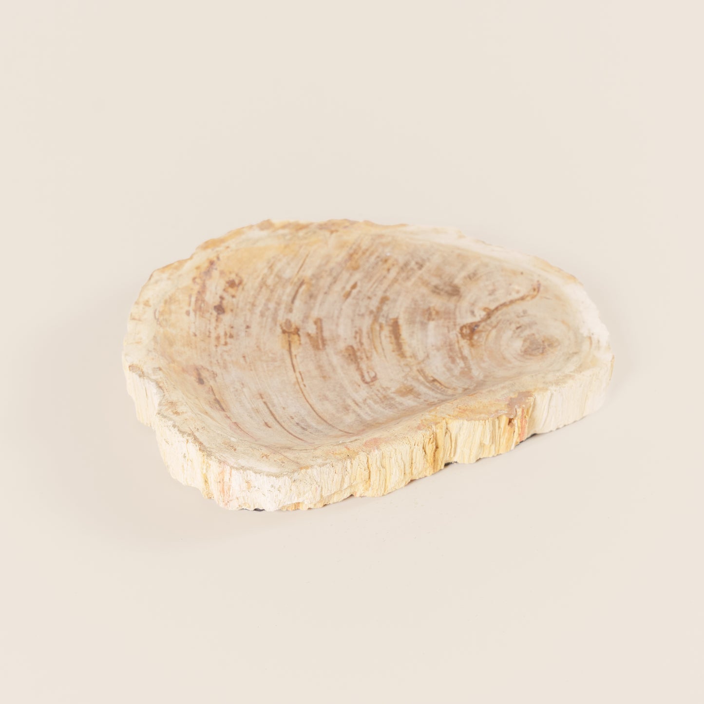 Interjero detalė / muilinė