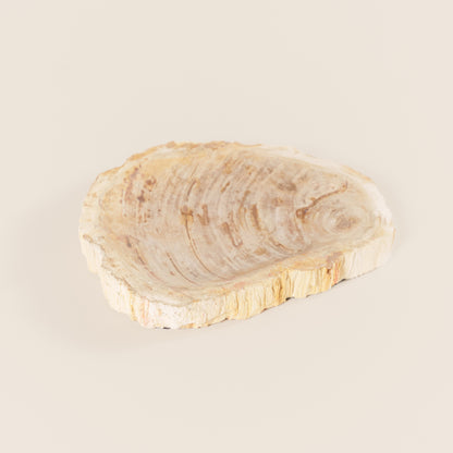 Interjero detalė / muilinė