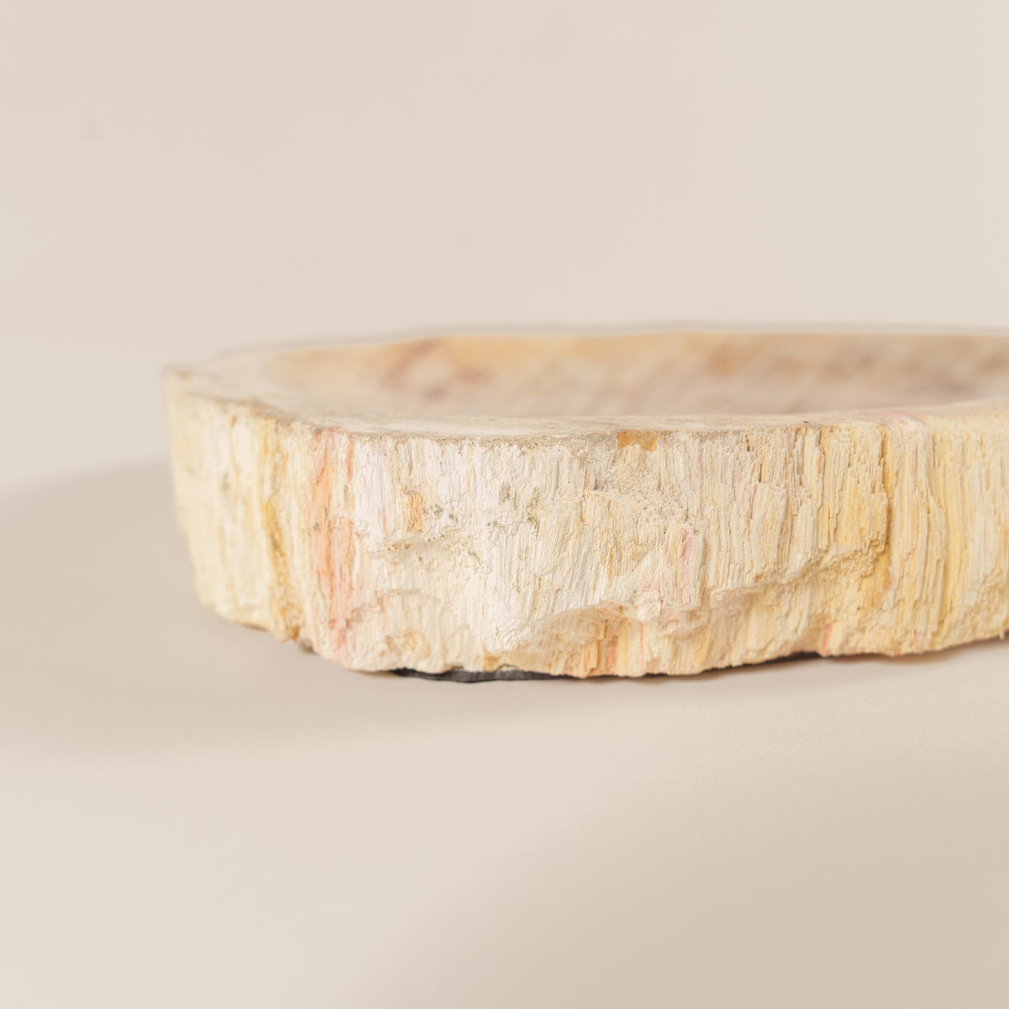 Interjero detalė / muilinė