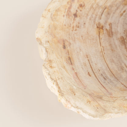 Interjero detalė / muilinė