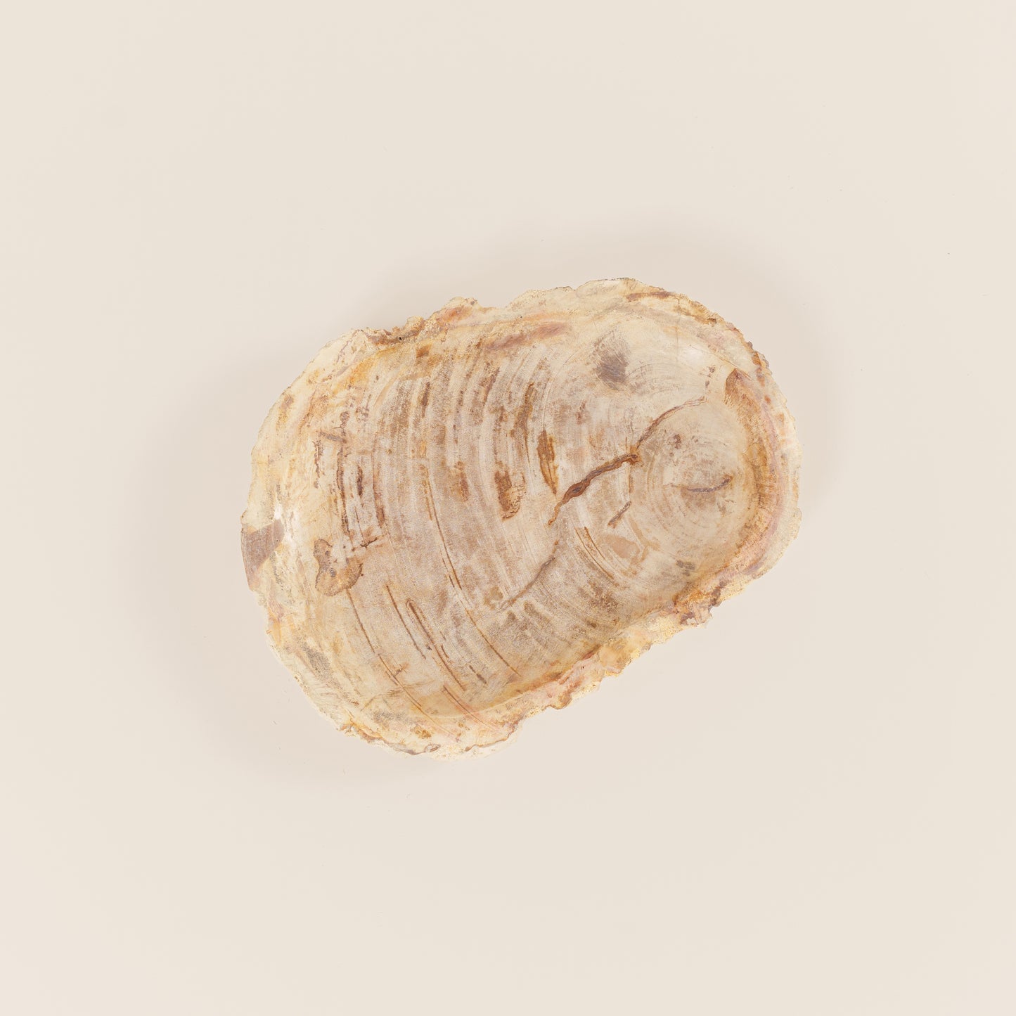 Interjero detalė / muilinė