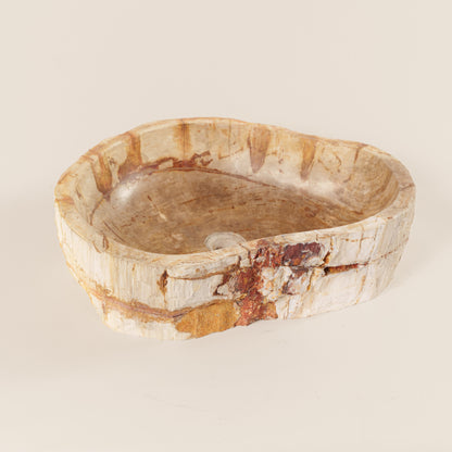 Praustuvas iš fosilijos "Bumi"