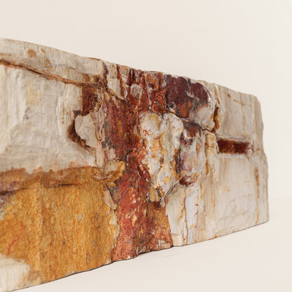 Praustuvas iš fosilijos "Bumi"