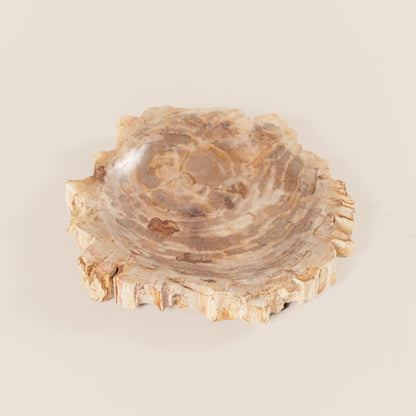 Interjero detalė / muilinė