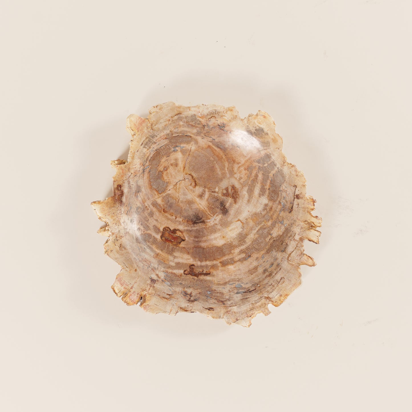 Interjero detalė / muilinė