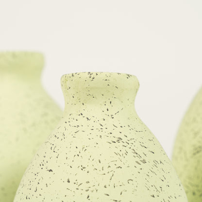 Dekoratyvinė vaza "Greeny"