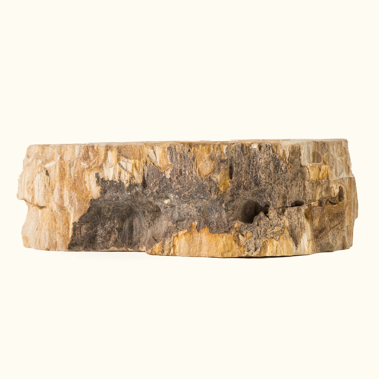 Fossil washbasin "Cave bowl"