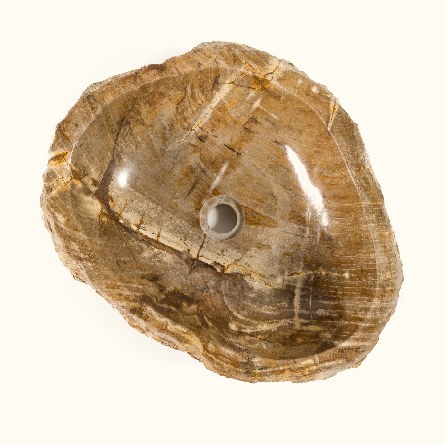 Praustuvas iš fosilijos "Cave bowl"