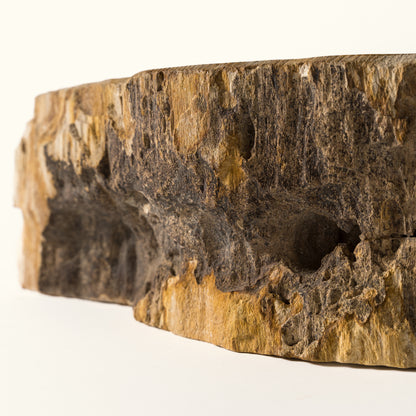 Fossil washbasin "Cave bowl"