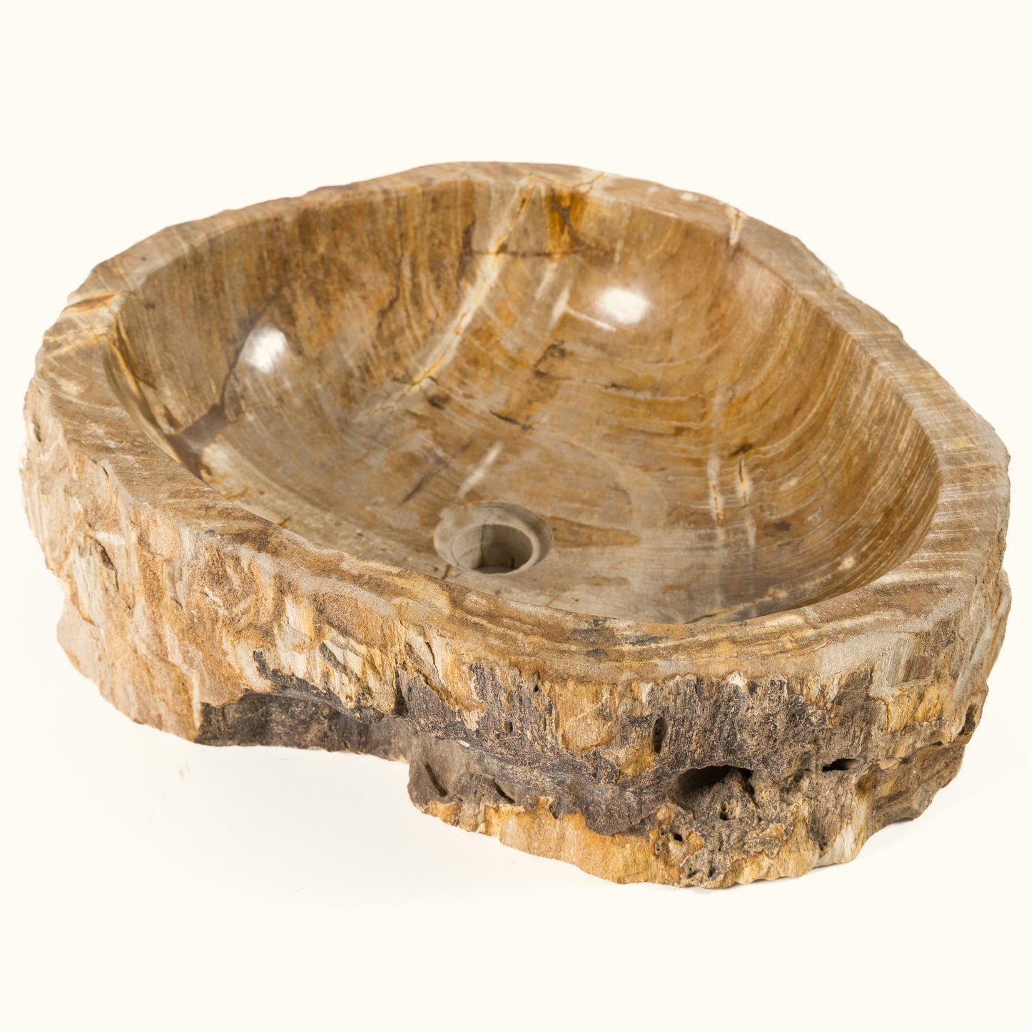 Praustuvas iš fosilijos "Cave bowl"