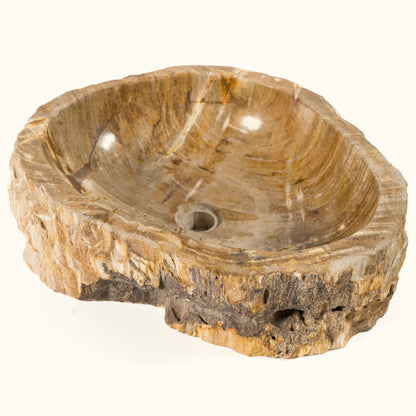 Fossil washbasin "Cave bowl"