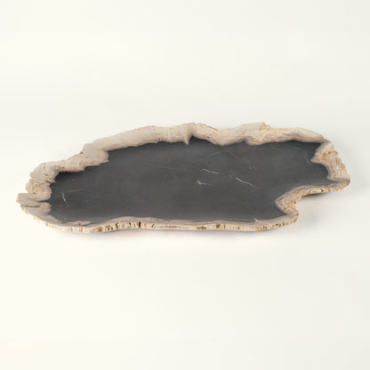 Petrified wood decorative plate