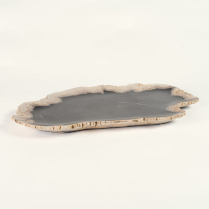 Petrified wood decorative plate