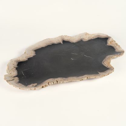 Petrified wood decorative plate